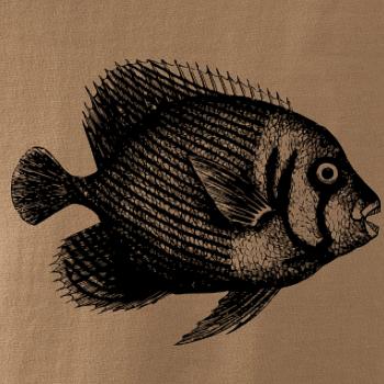 Mořská ryba kreslená