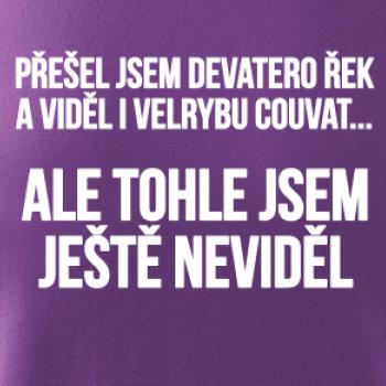 Viděl jsem velrybu couvat