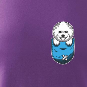 Bišonek v kapsičce