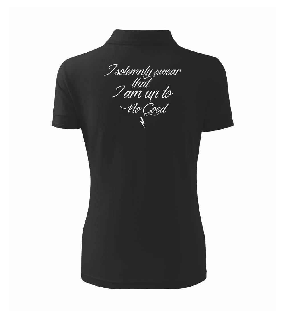 I solemnly swear that I'm up to no good