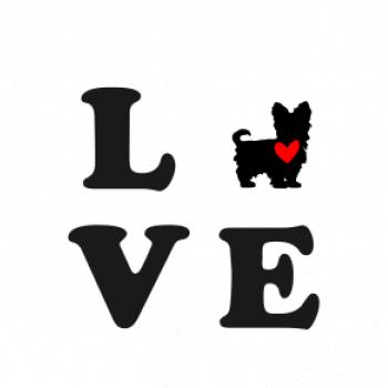 Yorkšírský terier love