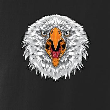 Hlava rozzlobeného orla