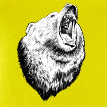 Medvěd trošku naštvaný