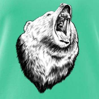 Medvěd trošku naštvaný