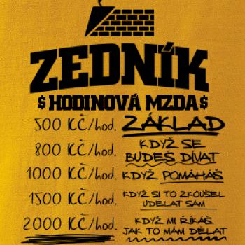 Hodinová mzda zedník Hodinová mzda zedník