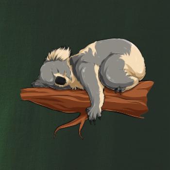 Koala na větvi