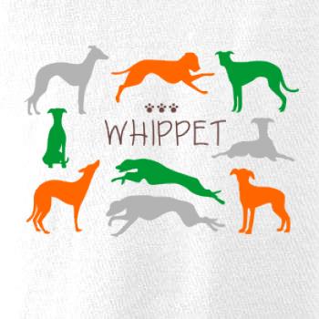 Whippet barevný Whippet barevný