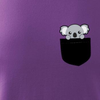 Koala v kapse