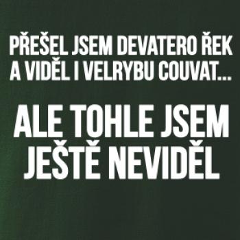 Viděl jsem velrybu couvat
