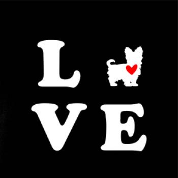 Yorkšírský terier love Yorkšírský terier love