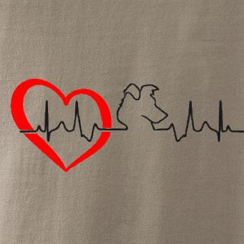Border kolie EKG Border kolie EKG