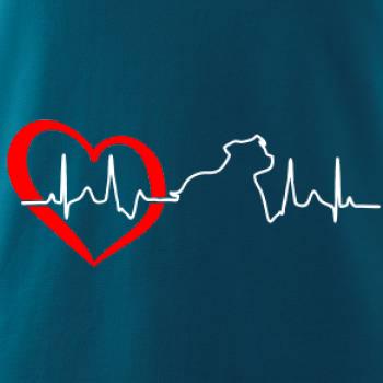 Stafordšírsky bulteriér EKG Stafordšírsky bulteriér EKG