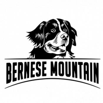 Bernese mountain - hlava a nápis
