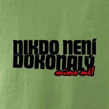 Nikdo není dokonalý mimo mě