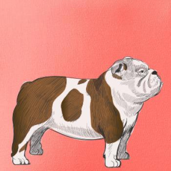 Vintage English bulldog
