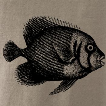 Mořská ryba kreslená