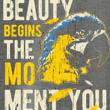 Bird macaw