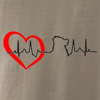 Bernský salašnický pes EKG