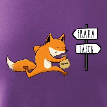 Běží liška k táboru