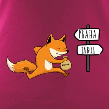 Běží liška k táboru