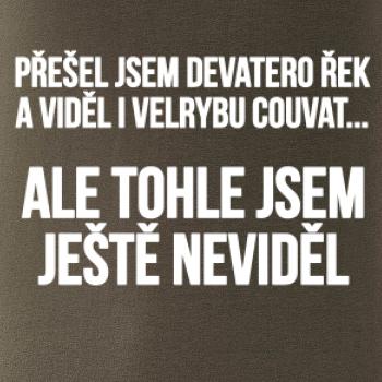 Viděl jsem velrybu couvat