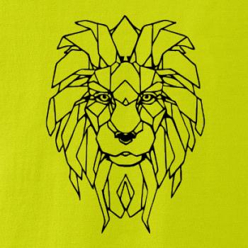 Geometrie - lev tvář