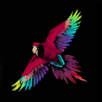 Papoušek kreslený letící