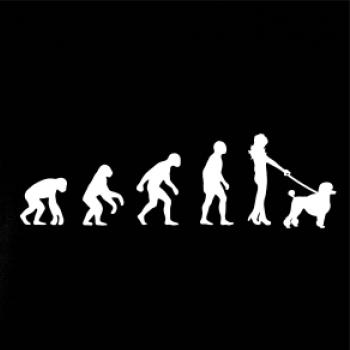 Evoluce pes pudl (muž-žena)