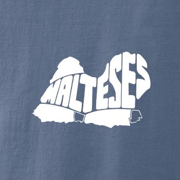Maltézský psík Maltézský psík