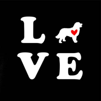 Bernský salašnický pes love