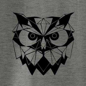 Geometrie - sova zlá