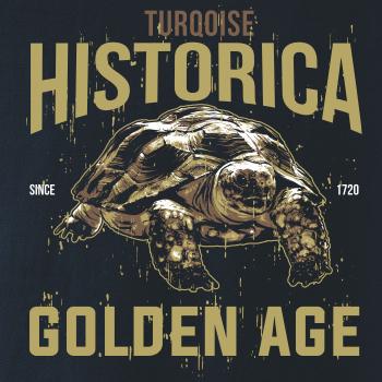 Turtle age