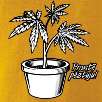Konopi prostě pěstuju Konopi prostě pěstuju