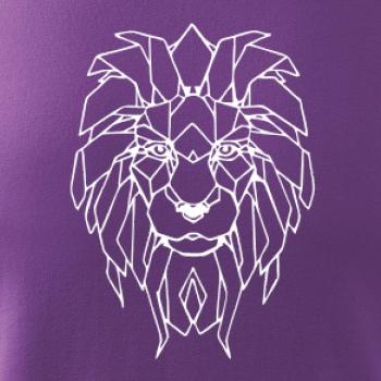 Geometrie - lev tvář