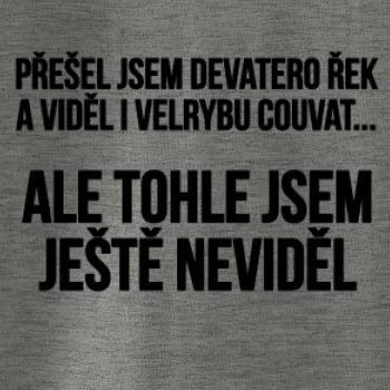 Viděl jsem velrybu couvat