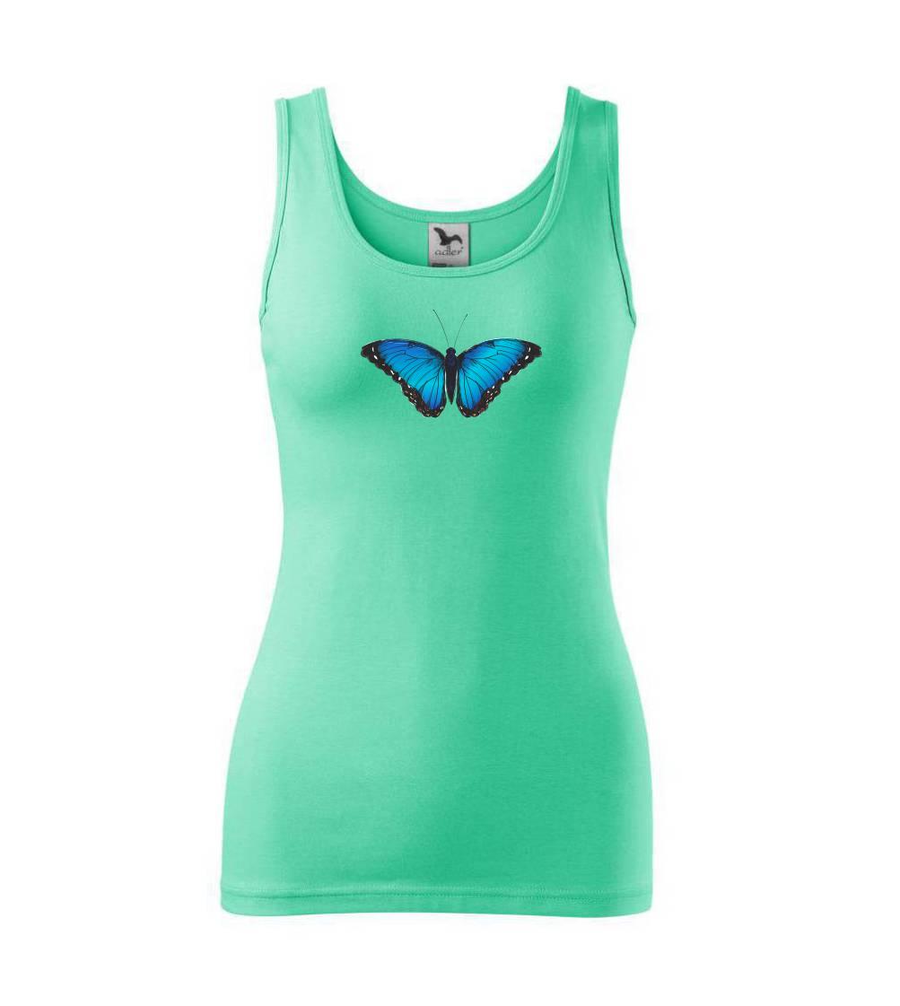 Motyl babočka Morpho Peleides Motyl babočka Morpho Peleides