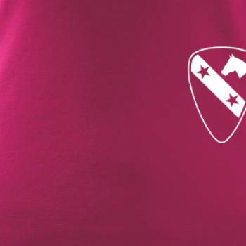 1st Cavalry Division hvězdy prsa