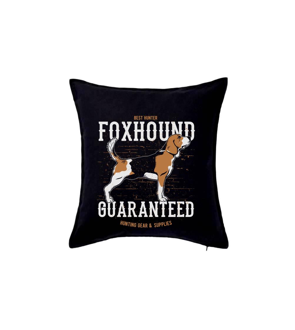 Dog foxhound Dog foxhound