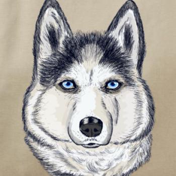Husky hlava - kreslený
