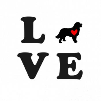 Bernský salašnický pes love