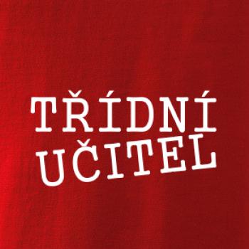 Třídní učitel