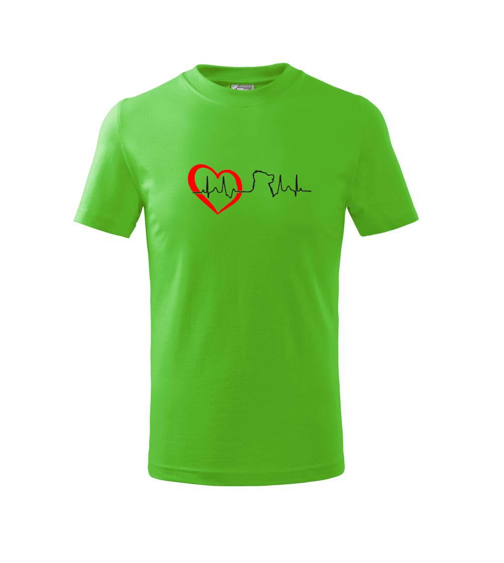 Bernský salašnický pes EKG