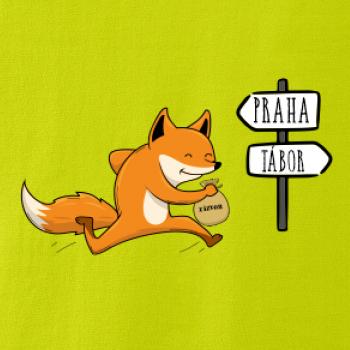 Běží liška k táboru