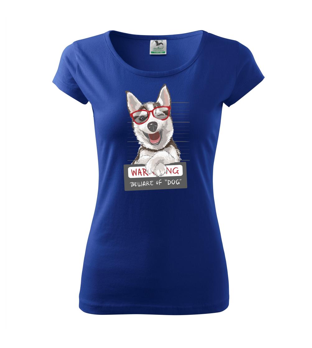 Husky - beware of dog