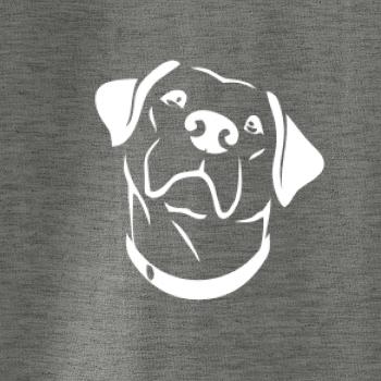 Labrador obrys
