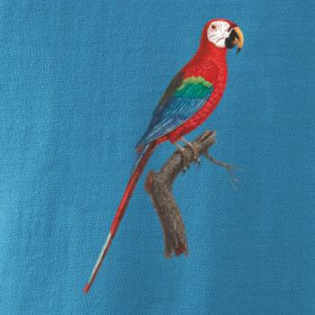 Papoušek červený na větvi