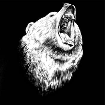 Medvěd trošku naštvaný