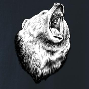 Medvěd trošku naštvaný