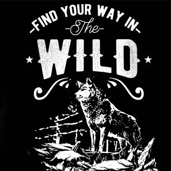 Find Your Way in the Wild Find Your Way in the Wild