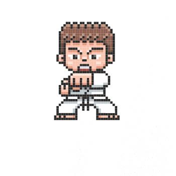Karate pixel